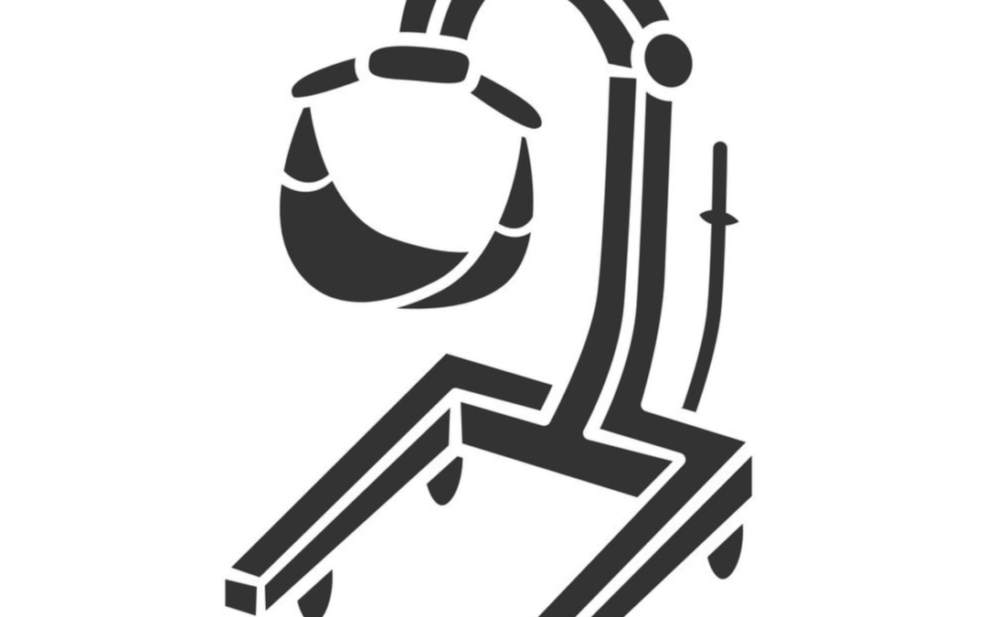 patient hoist