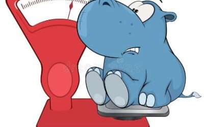 Patient Hoist With Weighing Scale