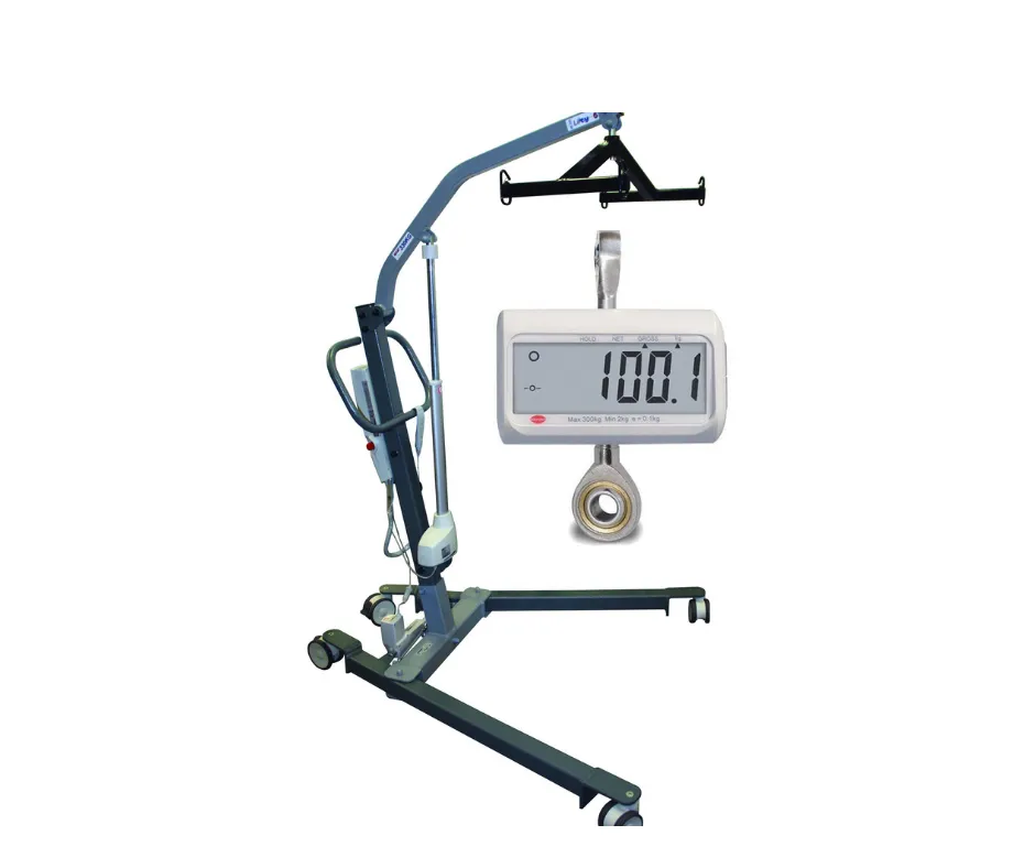 Patient Hoist